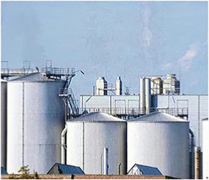 AMULYN Health Care Phycocyanin Powder Organic Spirulina