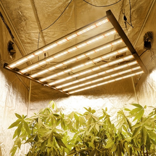 Plantas de alta colheita LED cresceram luz