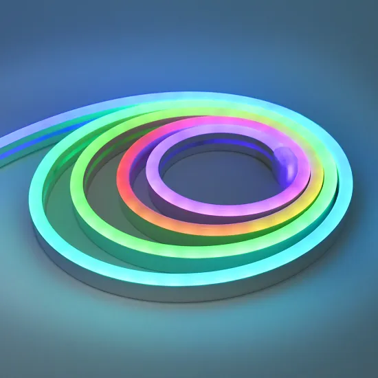 Customizable 220V/110V/24V/12V IP65 LED Neon Rope Light: Brighten Your Space with Personalized Neon Signs