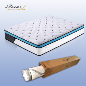 Leading Manufacturer of Queen Size Spring Mattresses Rolled in Boxes