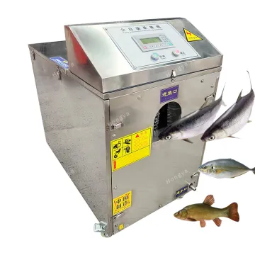 Small Commercial De-scaling and Open Back Fish Killing Machine