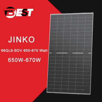 650-670W N-Type 66 Half Cell BifacialModule With Dual Glass