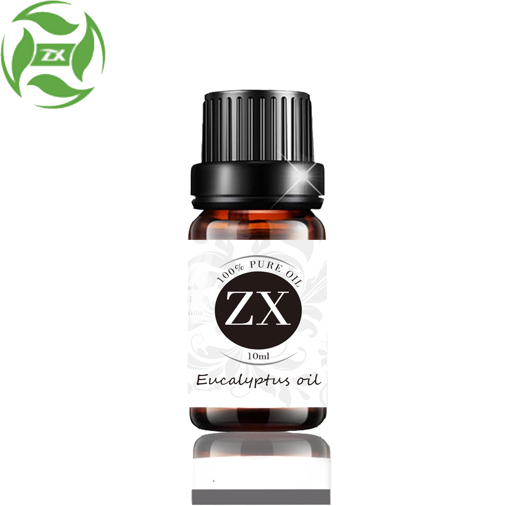 Hot Sale Organic Eucalyptus Essential Oil