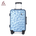 New fashion young traveling luggage