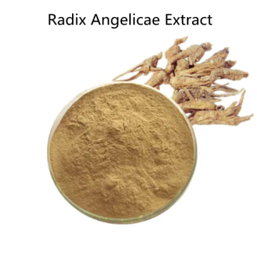 Buy online ingredients Radix Angelicae Extract Powder