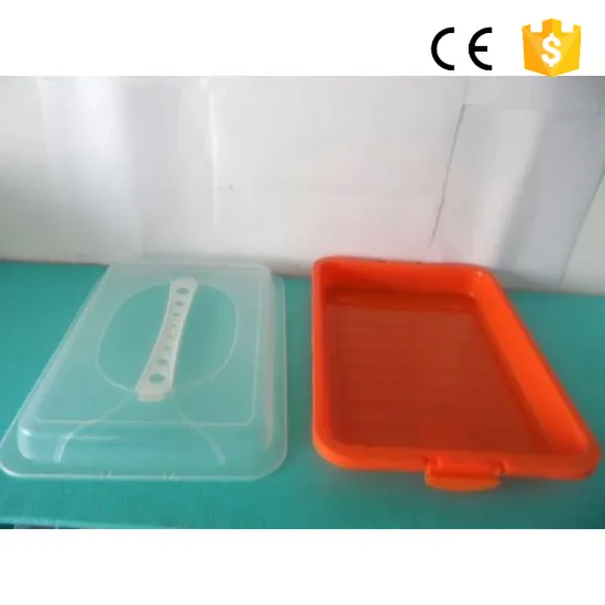 Clear PP Plastic Cake Box Cake Boxes Wholesale