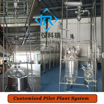 Customized glass reactor system