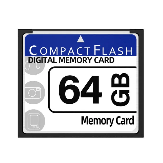 CompactFlash Memory Cards: CF 256MB to 128GB for Digital Cameras