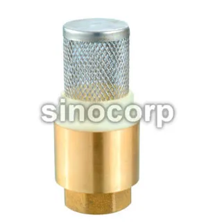 Check Valve with filter