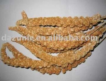 Red Millet Sprays
