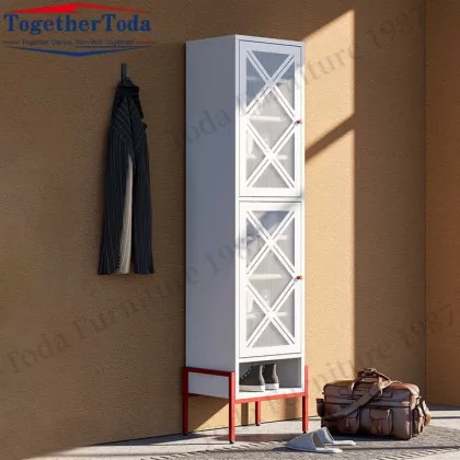 Modern Double layer rack storage shoe cabinet