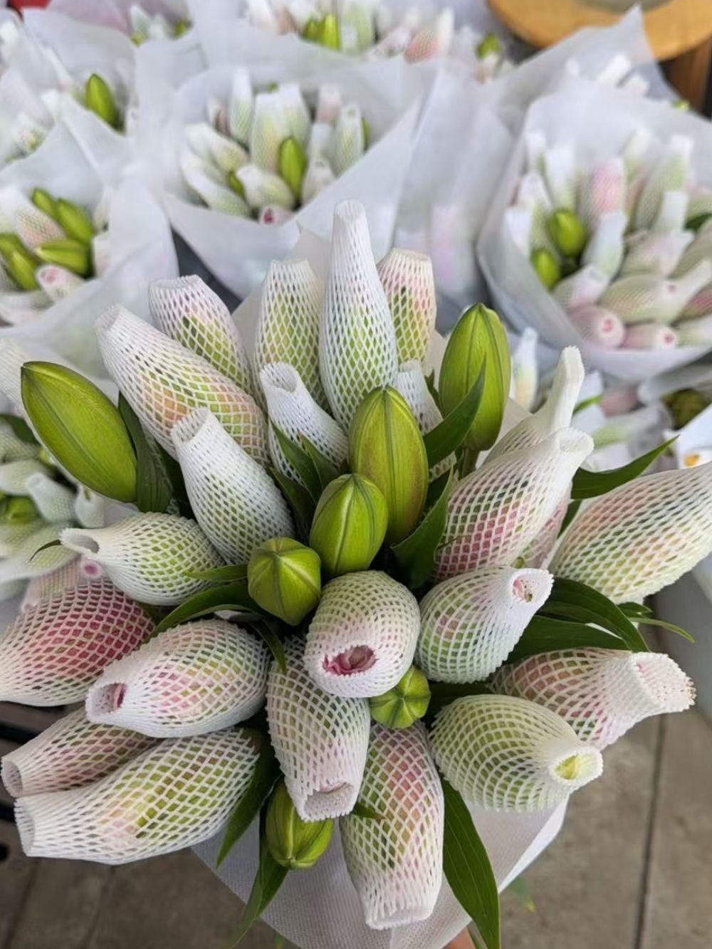 Lotus Fairy Double lily4
