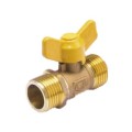 HT-F36 Double External Threaded Gas Valve (Body)