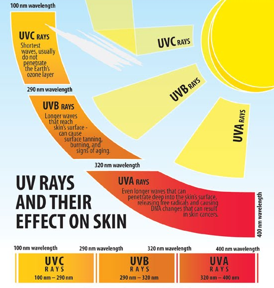 UV ray
