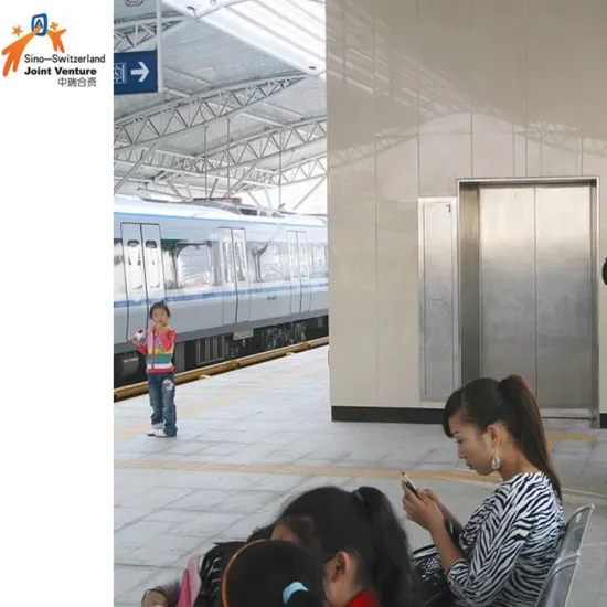 Elevator for Railway Station and Airport