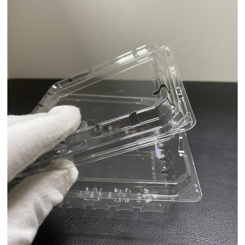 Plastic Transparent Custom Designing Clamshell Packaging