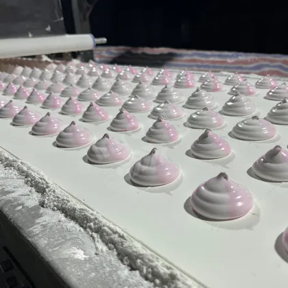 Automatic Marshmallow Extruder Machine for Industrial Marshmallow and Cotton Candy Production