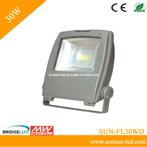 New COB Design 30W LED Floodlight (SUN-FL30WD)