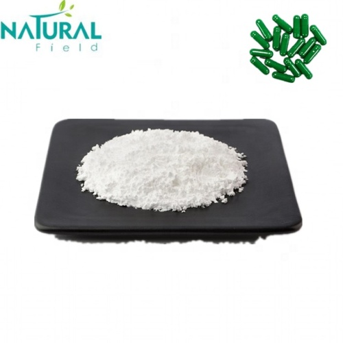 Male Health Care Ingredient High quality 98% Salidroside rhodiola rosea extract powder Factory