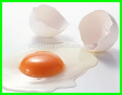 Particles pilot spray drying machine