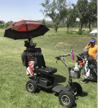 Single Seat Electric Golf Cart for Sale with Golf Bag Holder