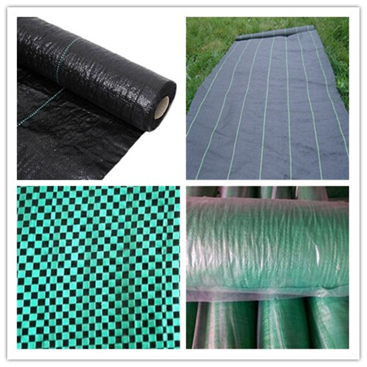 Weed Control Mesh