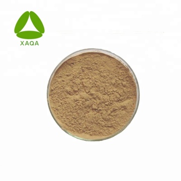 Aminobutyric Acid / GABA Powder 20% CAS 56-12-2