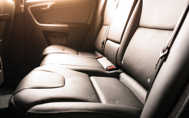 surface leather resins surface leather resins
