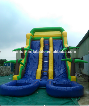 2016 Newest PVC tarpualin Inflatable Water Slides with two lines for sale