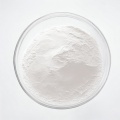 Probiotika Lactobacillus plantarumpulver