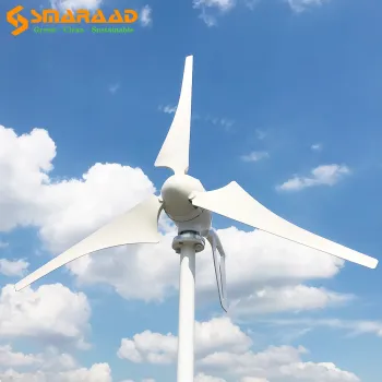 New energy power generation system 600W 12V 24V wind turbine