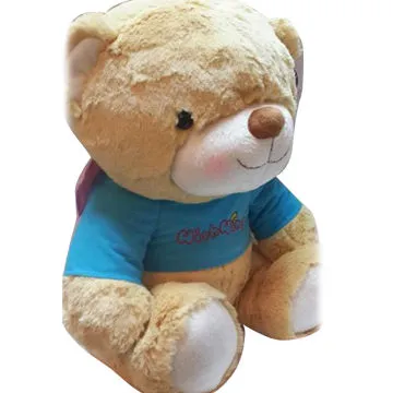 T-shirt teddy plush toys