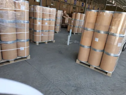 Papaya Enzyme Papain Papaya Extract Papain Digestive Enzymes