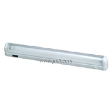 T8 tube series - Mirror Light Fluorescent Lighting Fixture