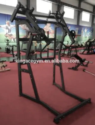 Fitness Equipment/Gym Equipment/Hammer Strength Jammer