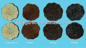 2016 new royal black garlic 4 pcs/box