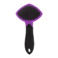 Best Slicker Brush For Cats and Small Dogs