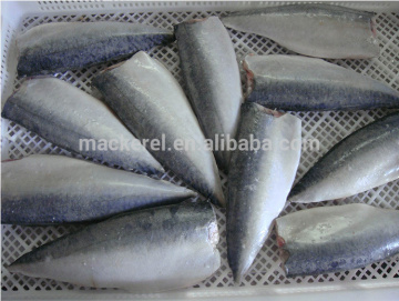 10kg Net Weight Frozen Pacific Mackerel Fillets