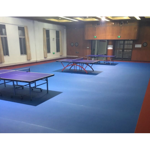 Pavimentazione professionale da ping pong per interni