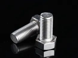 Ss201 Hexagon Head Bolt