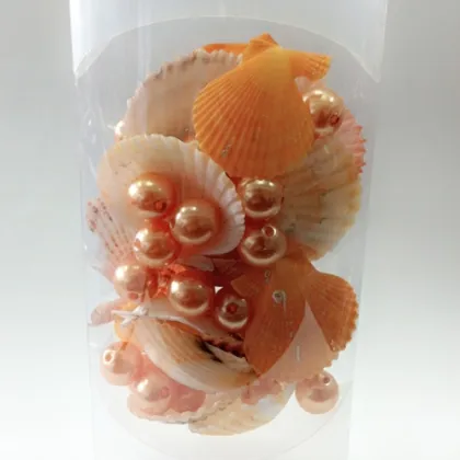 Wholesale Natural Beach Seashells For Crafts