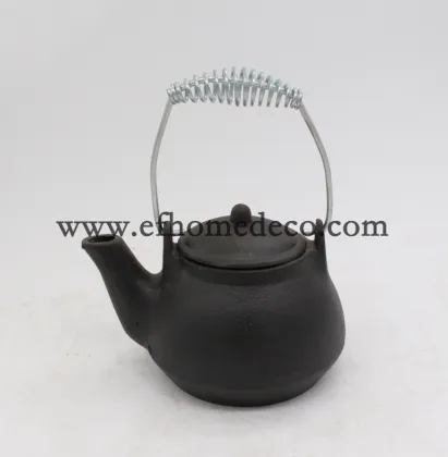 Cast iron teapot for cooking tea