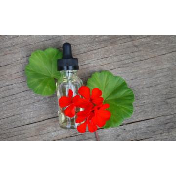 100% Pure natural organic geranium essential oil