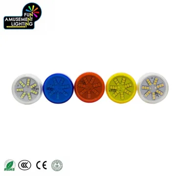 Hot Sale 24V E14 LED Auto Pixel Ferris Wheel RGB Amusement Bulb