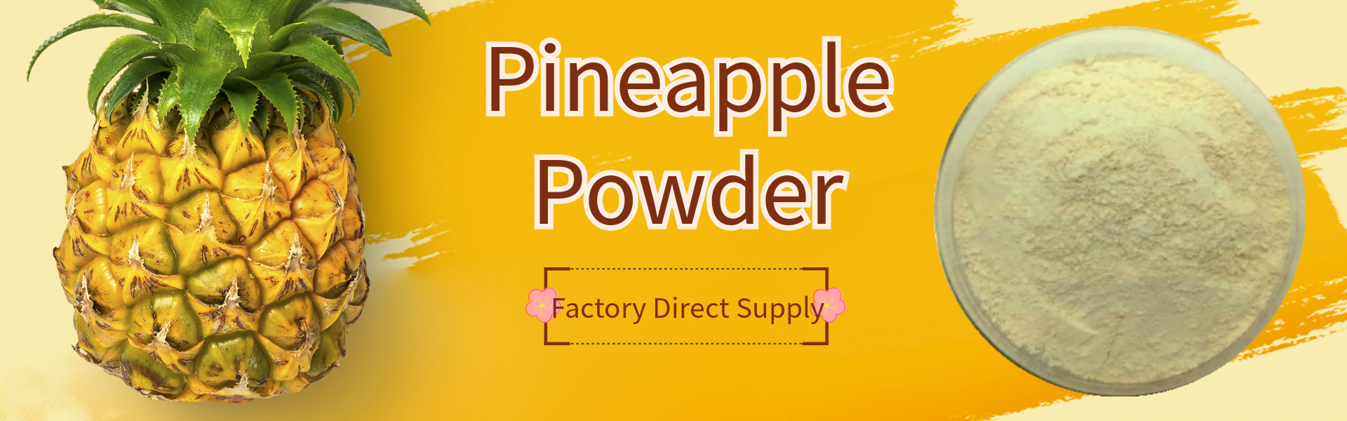 Pineapple Fruit Powder 1