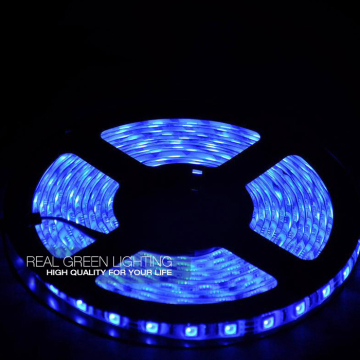 Super bright Blue 24V SMD 5050 IP65 Waterproof LED Strip Light