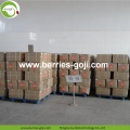 Factory Supply Fruit Low Sugar Diet Goji Berries