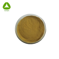 High Quality Natural Snow Lotus Flower Extract 10:1 Powder