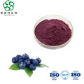 Water Soluble Blueberry Juice Powder