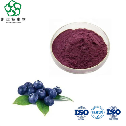 High Quality Blueberry Extract 25% Proanthocyanidin